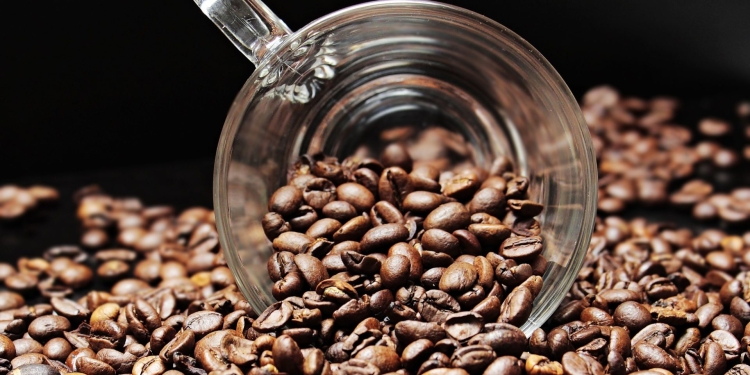 List Of Cash Crops Grown In Kenya