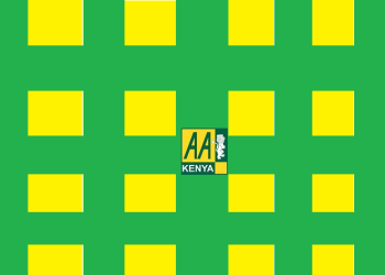 AA Kenya Driving School Fees Structure and Branches