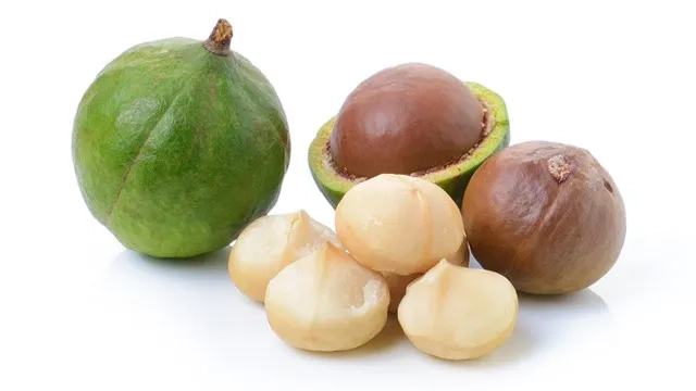 Production of Macadamia in Kenya