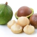 Production of Macadamia in Kenya