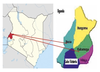 The Kabras Clans