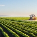 List of best Agricultural Product Dealers in Kenya