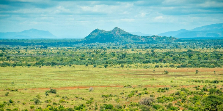 Meru National Park