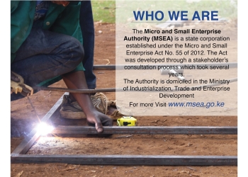 Functions Of The Micro and Small Enterprises Authority (MSEA)
