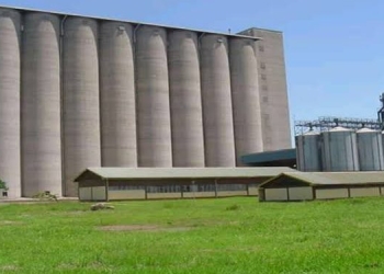 List Of NCPB Branches And Depots In Kenya