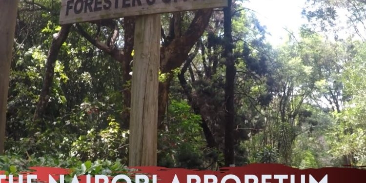 List of Picnic Sites in Nairobi