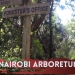 List of Picnic Sites in Nairobi