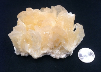 Trona
