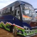 Divine Coaches Kampala To Moyo Booking Contact Number