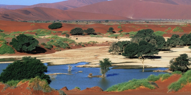 Desert Landscapes of Namibia