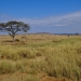 The Splendour of The Serengeti