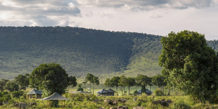 The Angama Guide to the Great Migration
