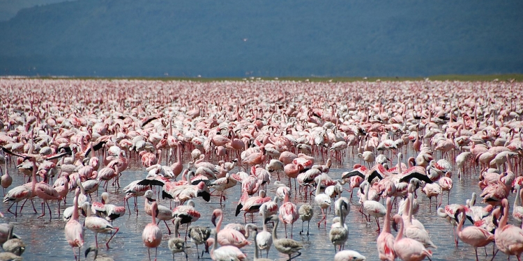 List of Elected MCAs in Nakuru County 2022-2027