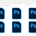 What Is a PDD File?