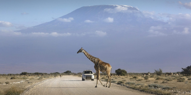 Travel Requirements and Documentation for all Foreigners Entering Kenya.