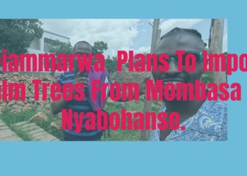 @iammarwa Plans To Import Palm Trees From Mombasa To Nyabohanse. (#014)