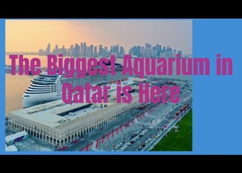 Witness the Majestic Aquarium at Old Doha Port: Qatar’s Hidden Treasure (#004)