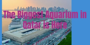 Witness the Majestic Aquarium at Old Doha Port: Qatar’s Hidden Treasure (#004)