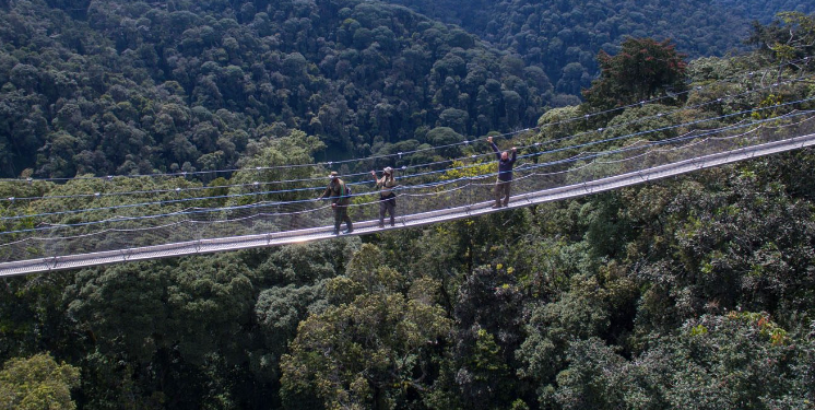 Nyungwe Forest National Park Entrance Fees
