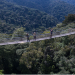 Nyungwe Forest National Park Entrance Fees