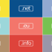 What is a domain suffix?