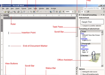 What is a document window?