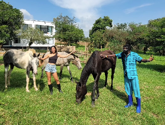 Travel Commando Iam Marwa Imports 3 Horses to Villa Medellin in Nyabohanse