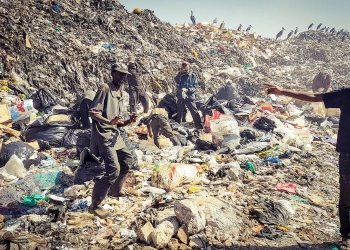 Dandora