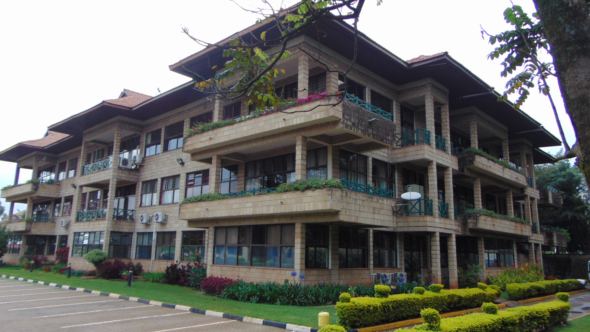 Amref International University