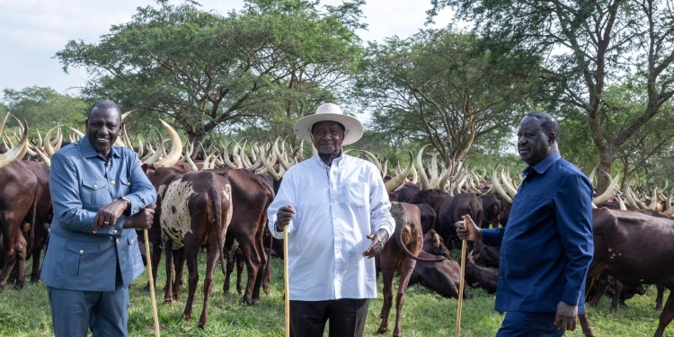Raila Dumps Uhuru For Ruto its a complete win for 2027 Ruto’s Reelection