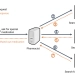 Video: What are the domain DNS options?