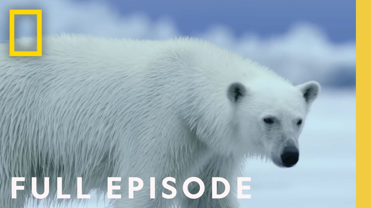 National Geographic Affiliate Program