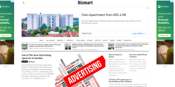 Bizmart Africa