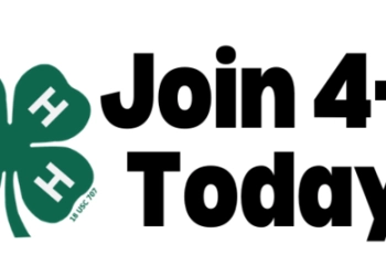 How to Join 4H