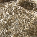 Banje (Luhya name for a small fish)