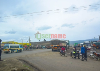 Reasons to Think About Investing in Salgaa