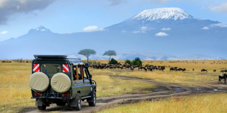Shalommara Safaris & Tours
