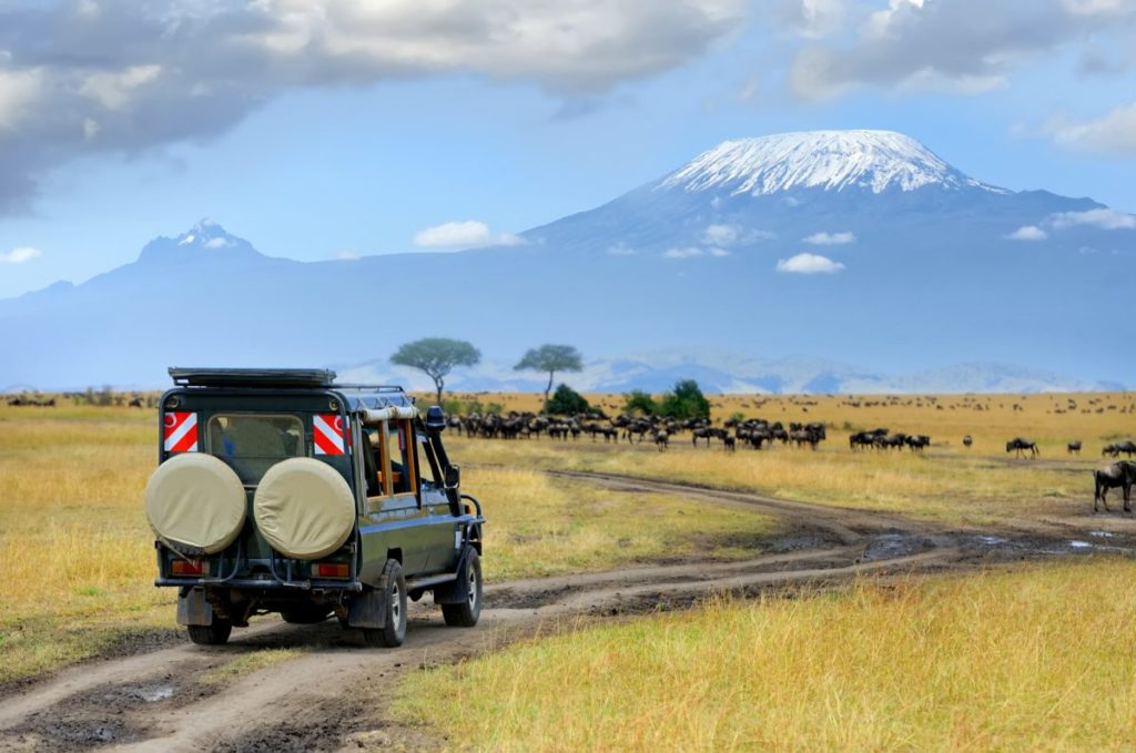 Shalommara Safaris & Tours