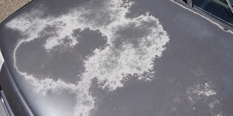 How to Fix Sun-Faded Car Paint