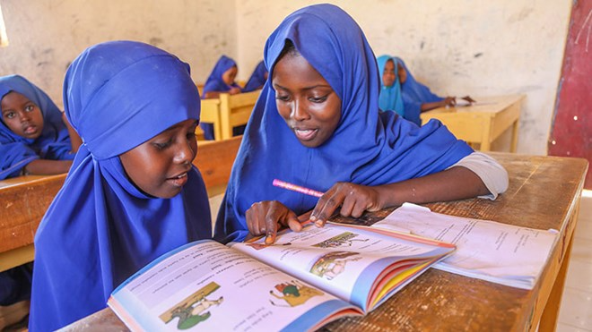 List of International Schools in Somalia with Contact Information and Websites