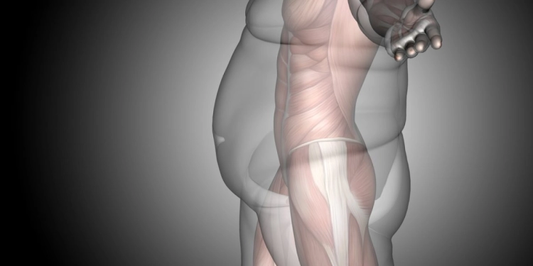 Exploring Weight Loss Surgery Options: A Comprehensive Guide