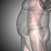 Exploring Weight Loss Surgery Options: A Comprehensive Guide