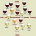 Exploring the Diverse World of Wines in Kenya: A Comprehensive Guide by Nairobi Drinks