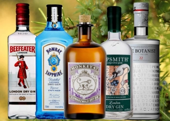 Exploring the Top 16 Gin Brands in Kenya: A Connoisseur’s Guide