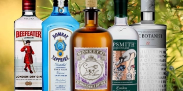 Exploring the Top 16 Gin Brands in Kenya: A Connoisseur’s Guide