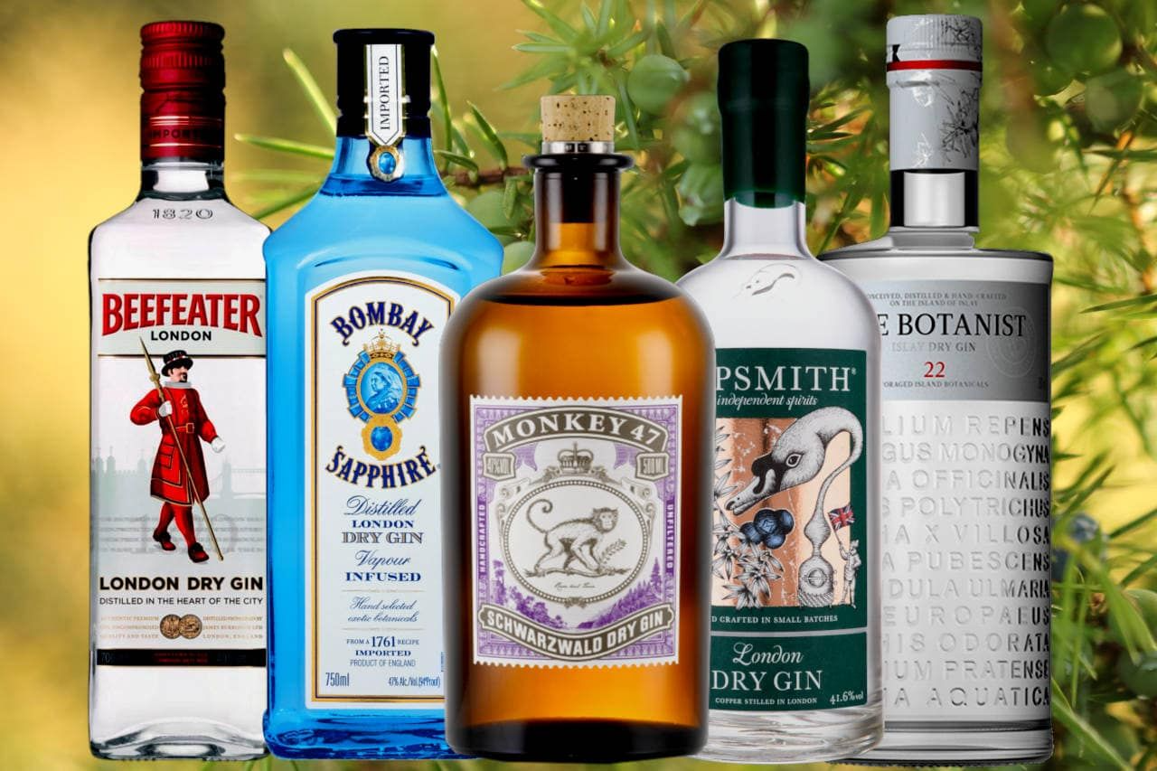 Exploring the Top 16 Gin Brands in Kenya: A Connoisseur’s Guide