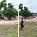 Government Cracks Down on Reckless River Crossings After Tragic Deaths