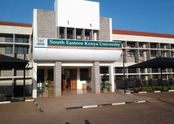 South Eastern Kenya University Student Portal: Your Digital Campus Connection