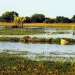 The Bangweulu Wetlands