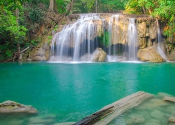 National Parks in Zambia: An Overview